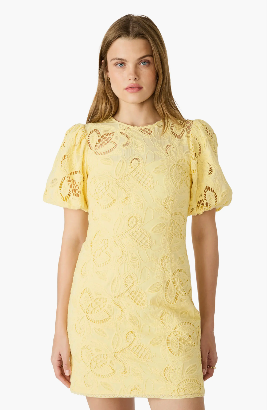 Steve Madden Elly Dress