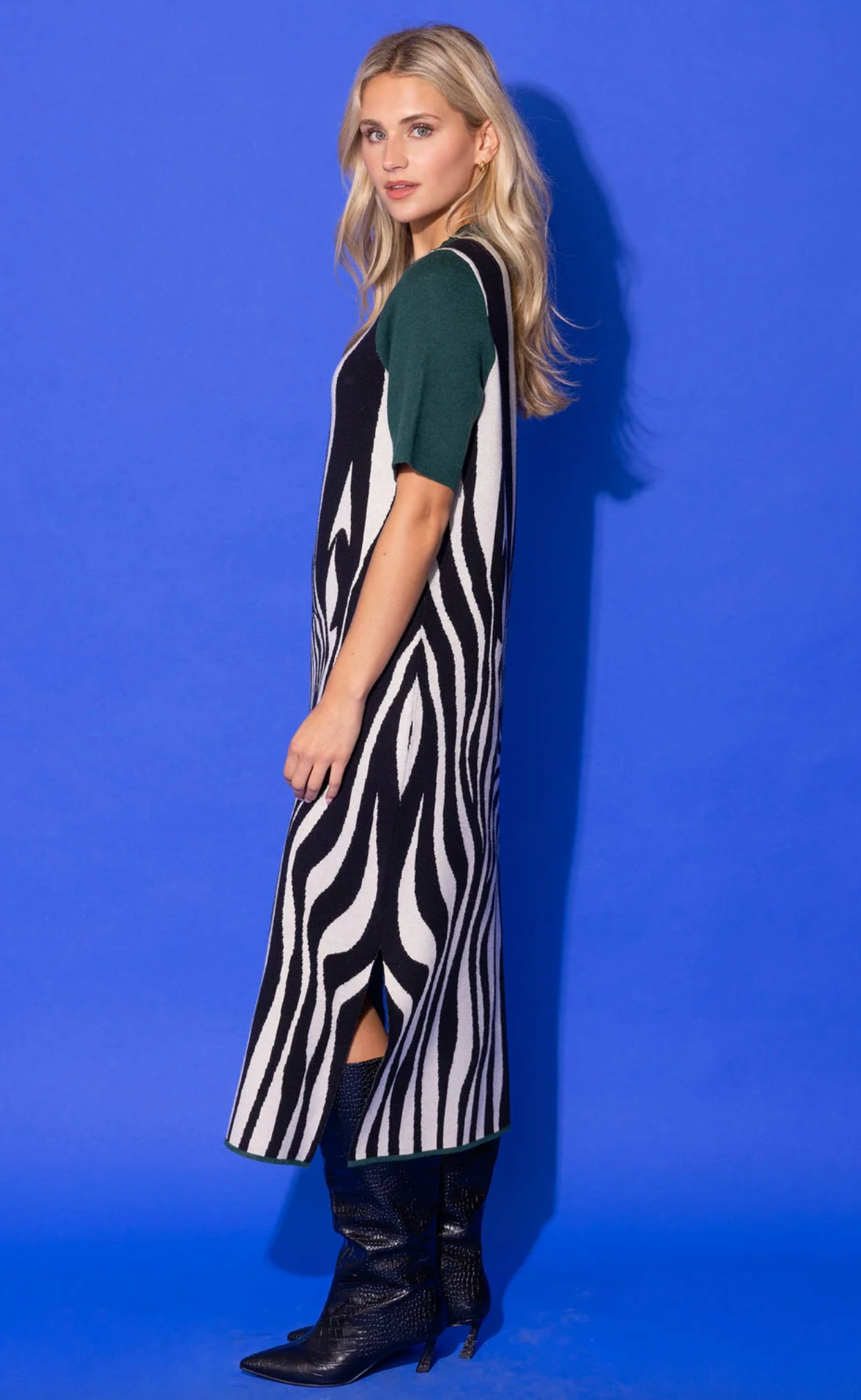 Alden Adair Scout Dress- Wild