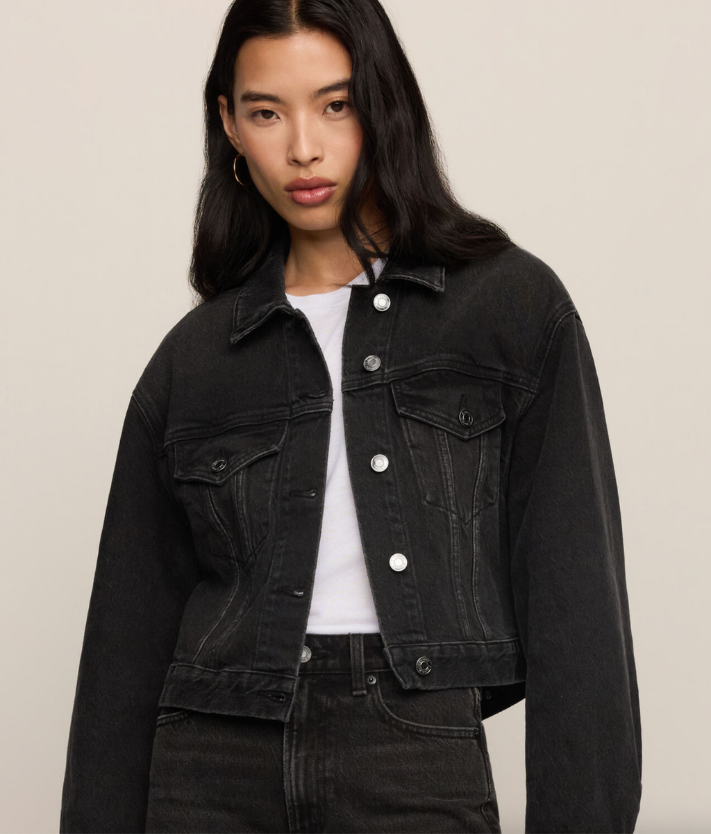 Z Supply Daily Denim Jacket